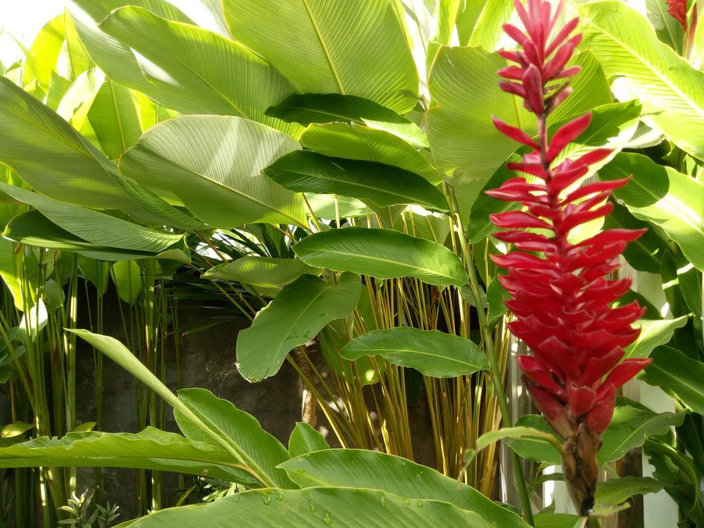 Villa Esa Ubud Bagian luar foto